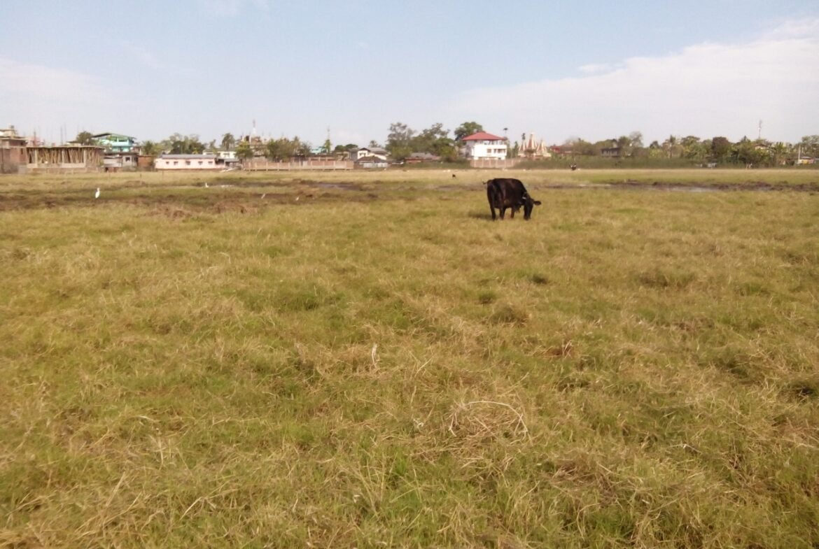 Land For Sale in Dibrugarh Town