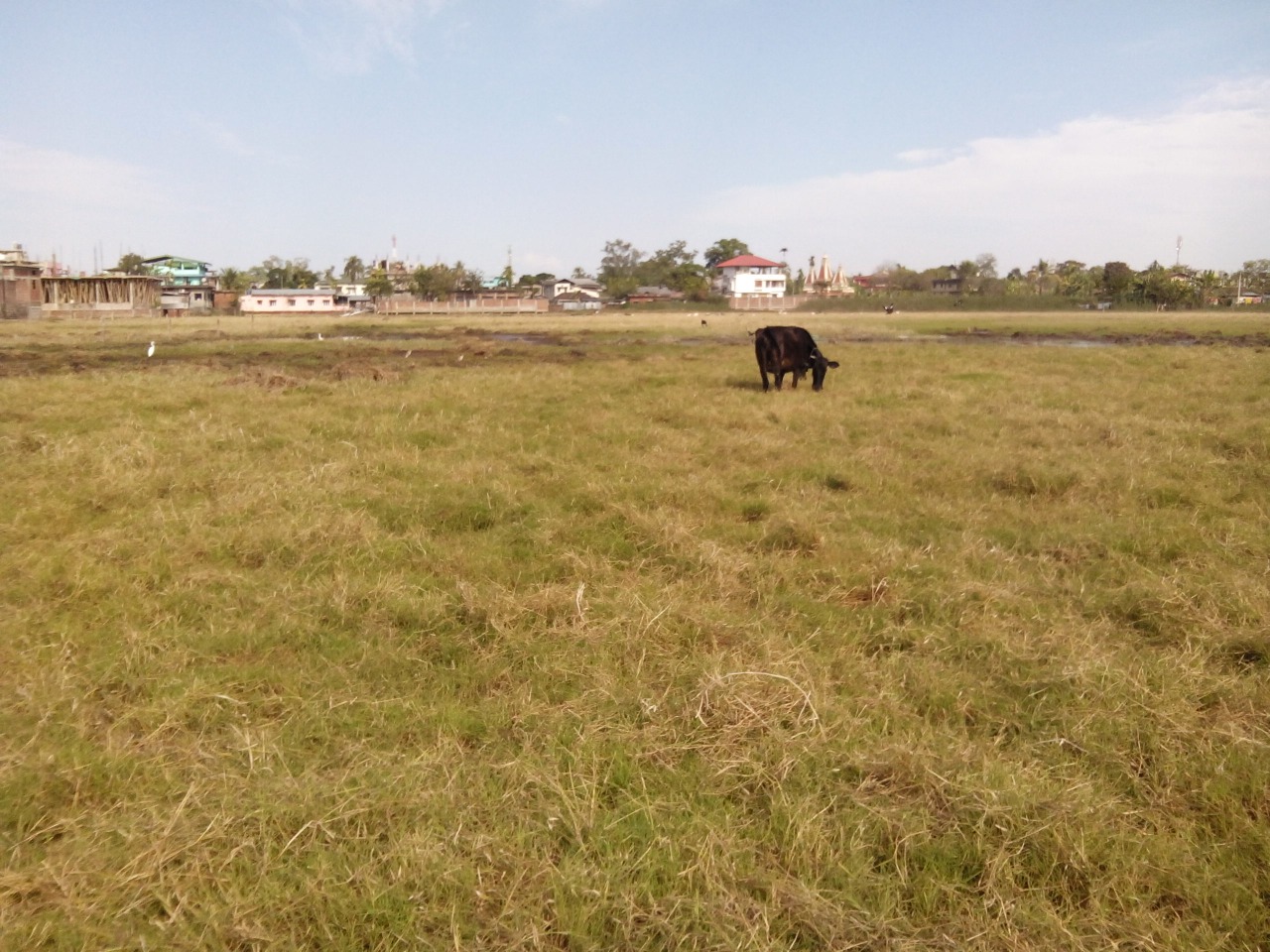 Land For Sale in Dibrugarh Town