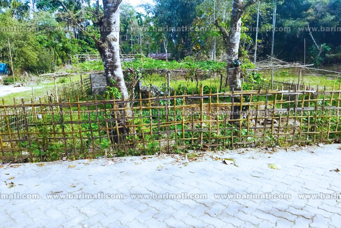 3 katha 15 lessa land for sale at Lepetkata in Dibrugarh at rs 14 Lakhs
