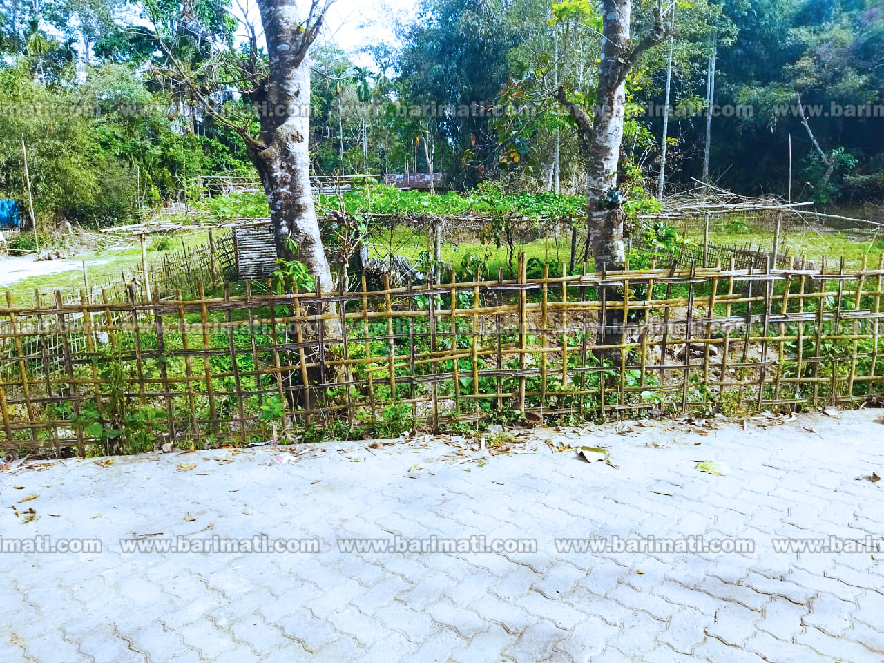 3 katha 15 lessa land for sale at Lepetkata in Dibrugarh at rs 14 Lakhs