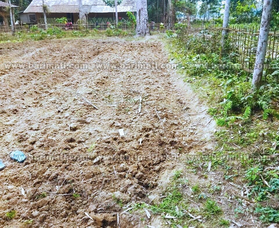 3 katha land for sale under 14 lakhs in Lepetkata in Dibrugarh