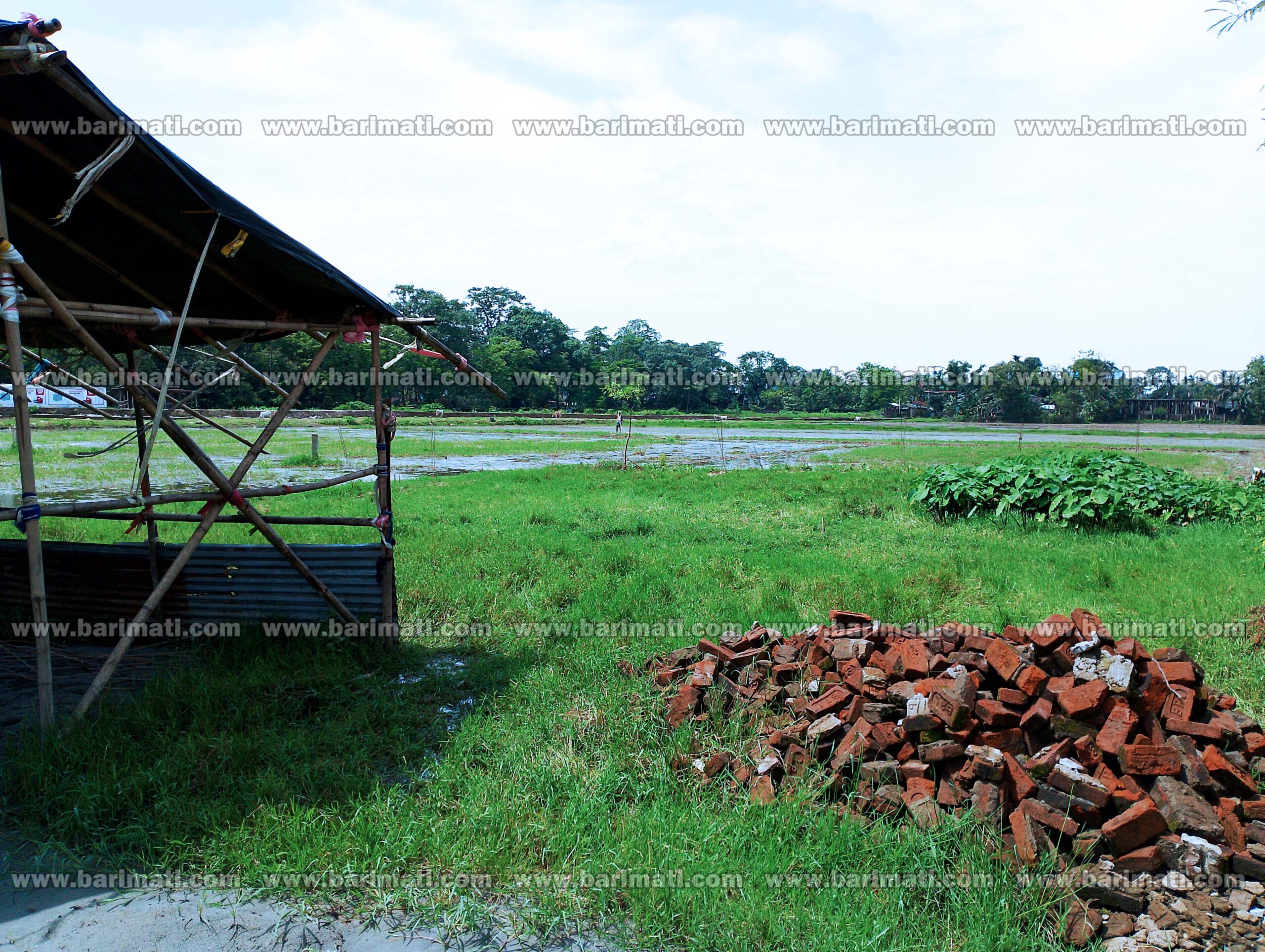 2 katha land for sale in dibrugarh at thana goli chiring chapori under 71 lakhs