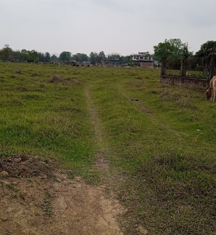 Residential plot available for sale in Mancotta, Dibrugarh – perfect for building your dream home or investment property