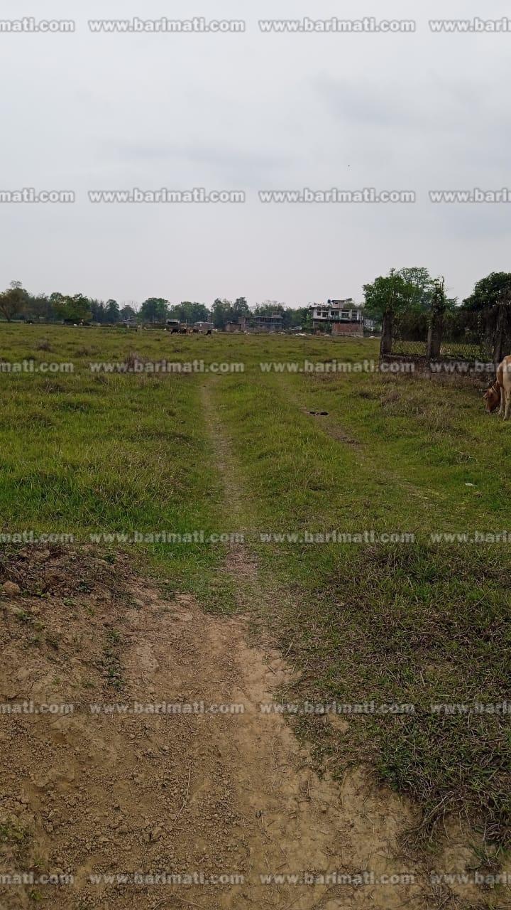 Residential plot available for sale in Mancotta, Dibrugarh – perfect for building your dream home or investment property