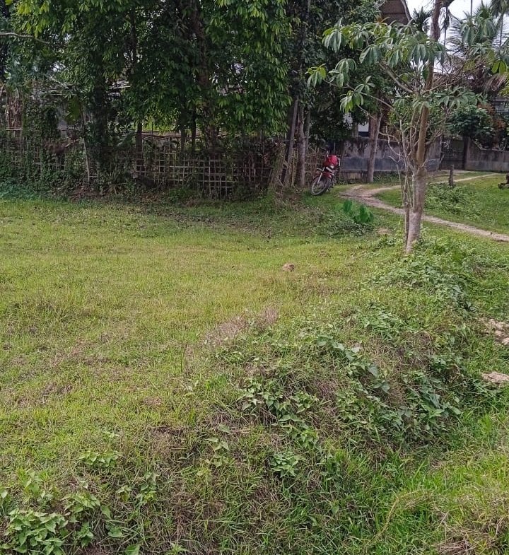 Prime land for sale in Mancotta, Dibrugarh – ideal for residential or commercial development, located in a sought-after area