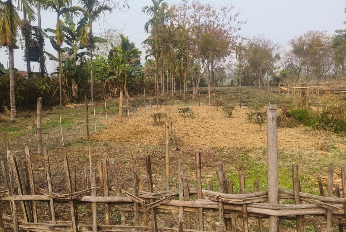 Affordable 2 Katha land near Bokul Flyover, Dibrugarh, available at Rs 26 lakhs per katha, situated in a prime and sought-after location.
