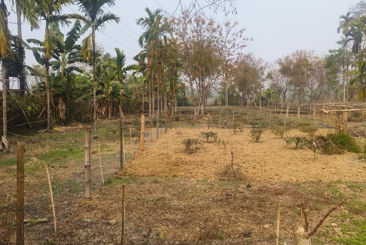 Prime 2 Katha land for sale near Bokul Flyover in Dibrugarh, priced at Rs 26 lakhs per katha, ideal for investment in a premium location