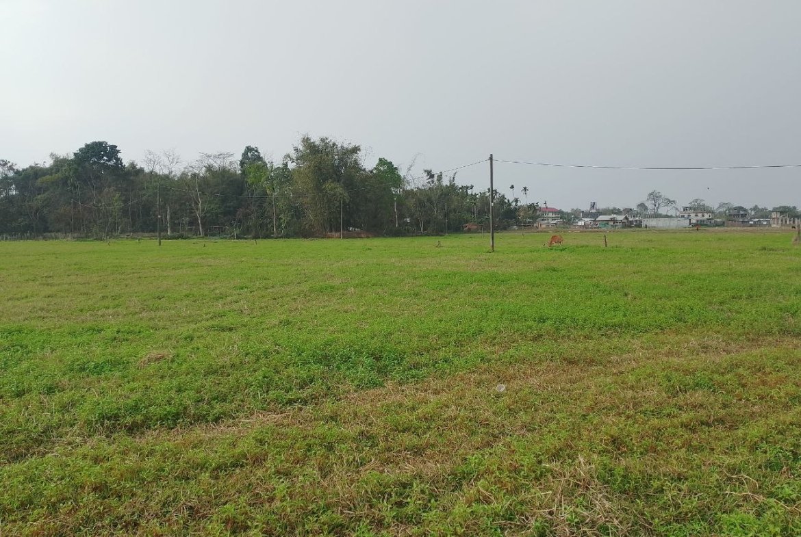 2 Katha Miyadi Patta Land for Sale at ₹25 Lakhs in Chiring Chapori, Dibrugarh