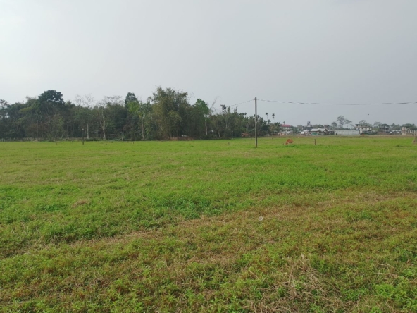 2 Katha Miyadi Patta Land for Sale at ₹25 Lakhs in Chiring Chapori, Dibrugarh