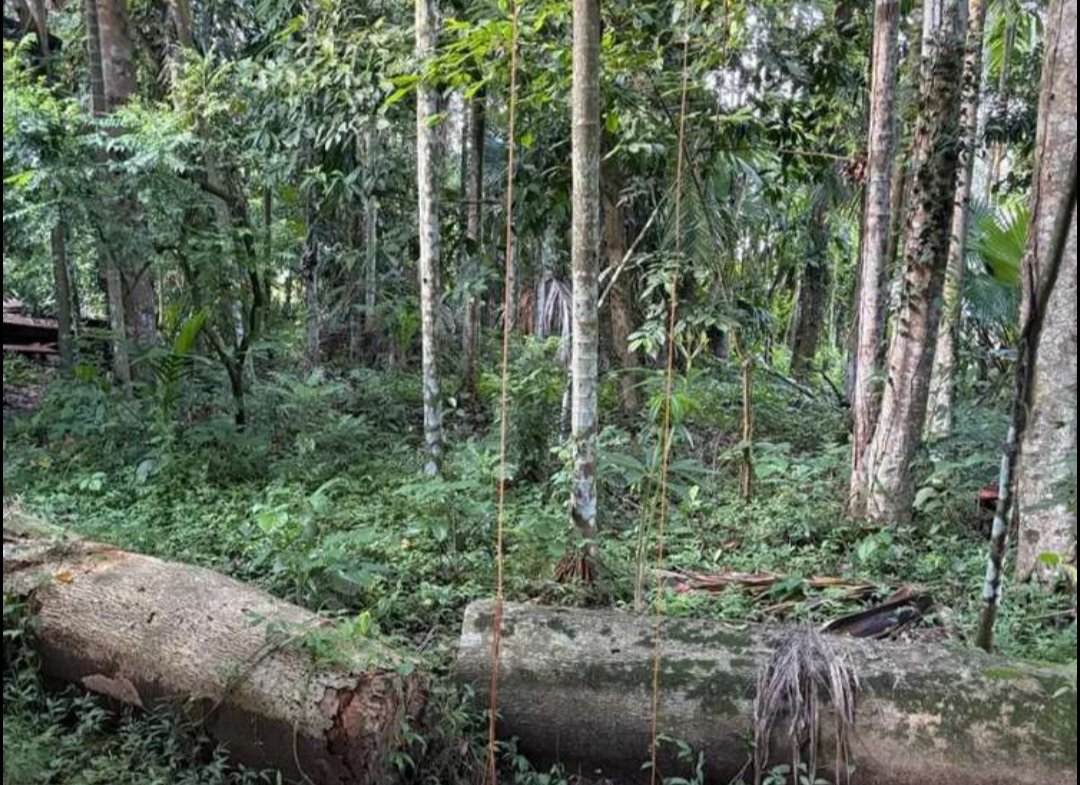 2 Katha land for sale under just rs 22 lakhs in Moranhat town in Dibruagrh