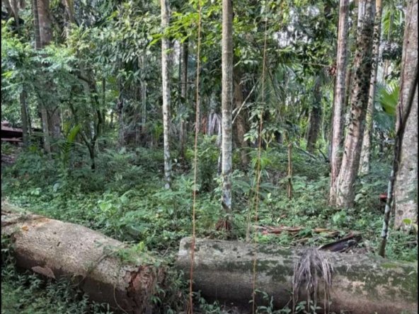 2 Katha land for sale under just rs 22 lakhs in Moranhat town in Dibruagrh