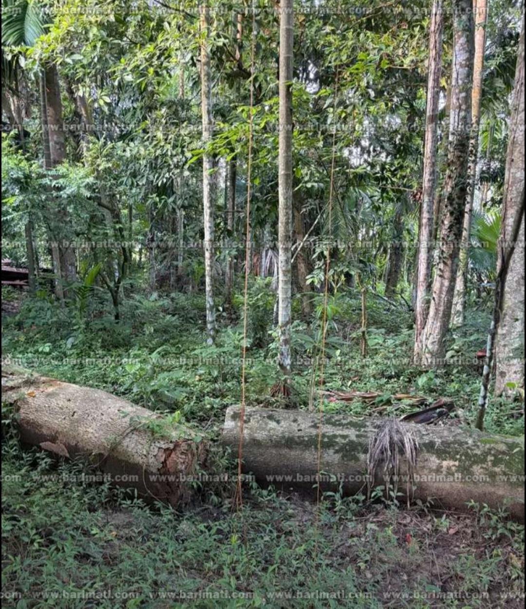 2 Katha land for sale under just rs 22 lakhs in Moranhat town in Dibruagrh