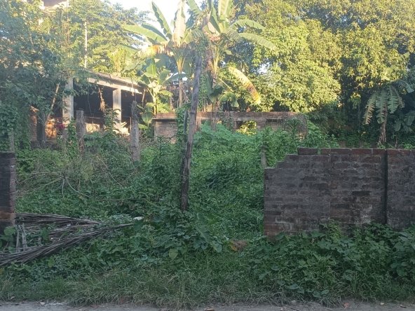 Prime Land for sale in Chiring Chapori, Dibrugarh! 2 katha 2.5 lessa Myadi plot near Shankar Dev School. Excellent investment opportunity, price ₹65 lakhs per katha.